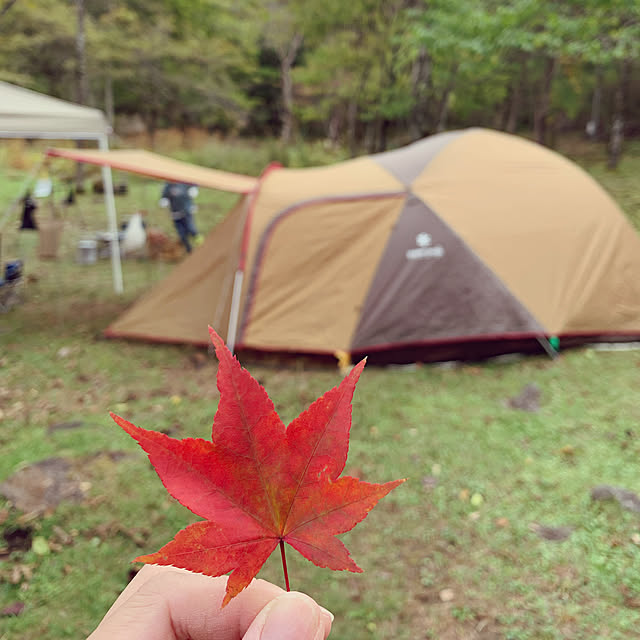 Shokoさんの実例写真