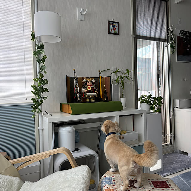 Rainyさんの部屋