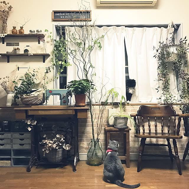 mucc08さんの実例写真