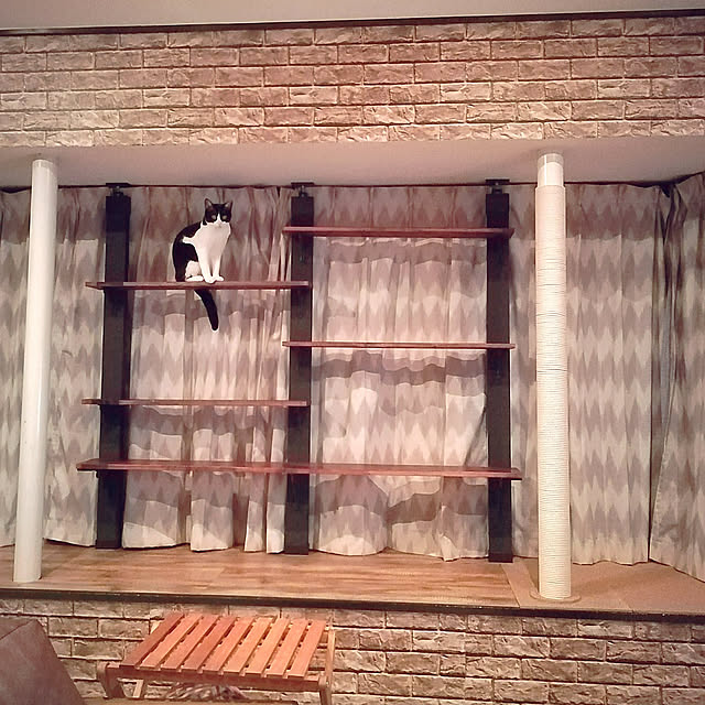 Lilyさんの実例写真