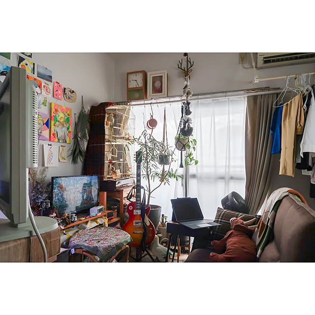 parrotさんの実例写真