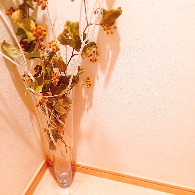 ayumi0917nyanさんの実例写真