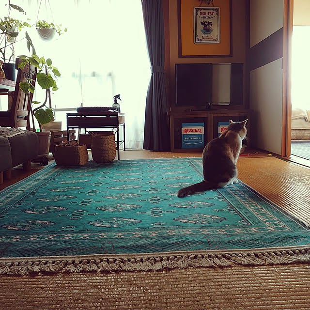 fukuさんの実例写真