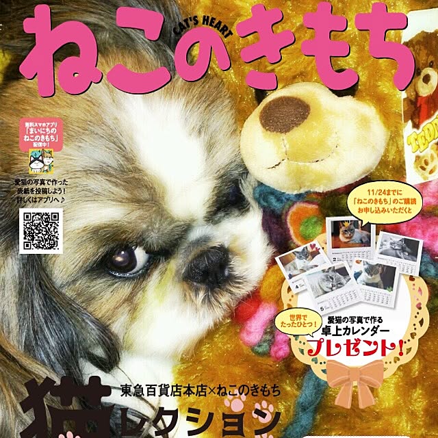 butachanさんの実例写真