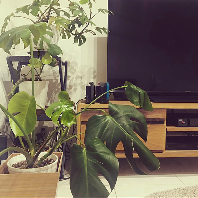 mamaさんの実例写真