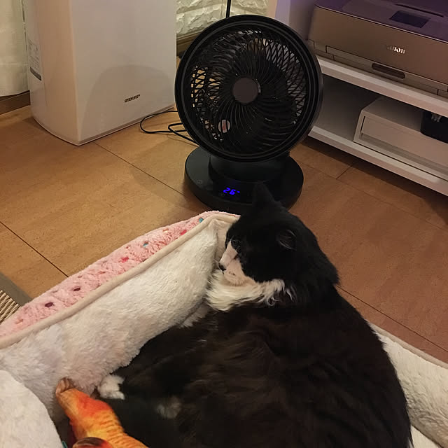 kanaさんの実例写真