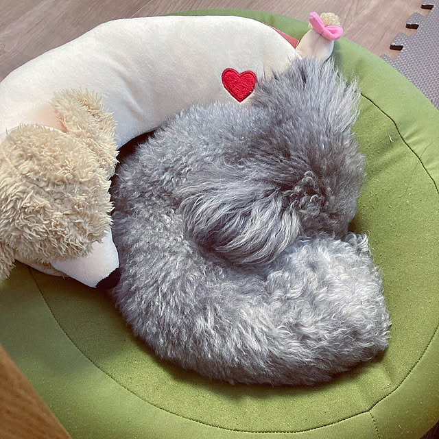coochanさんの実例写真