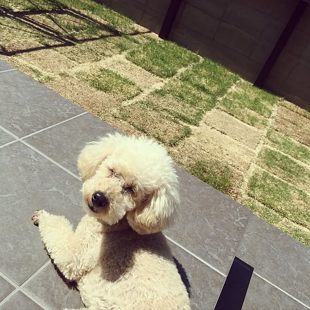 so-ko.さんの実例写真