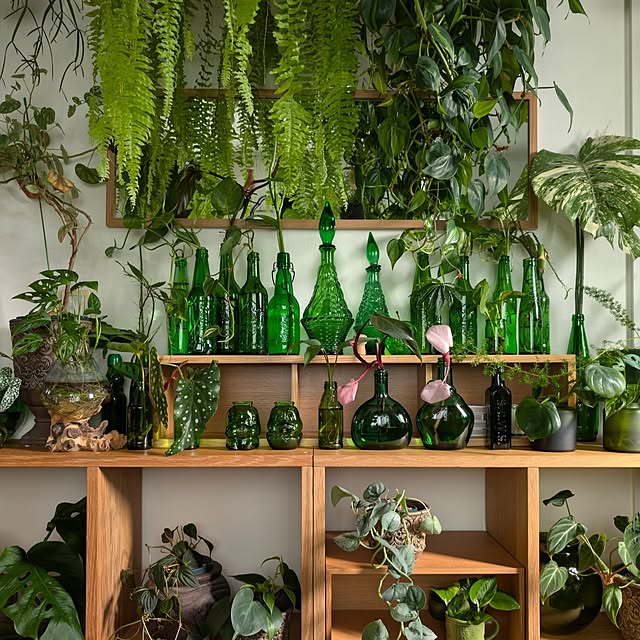 ayamameさんの部屋