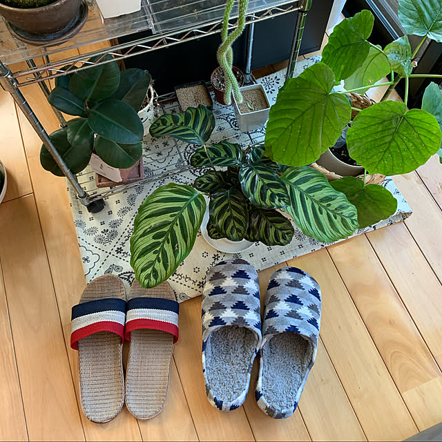 moko7ruiさんの実例写真