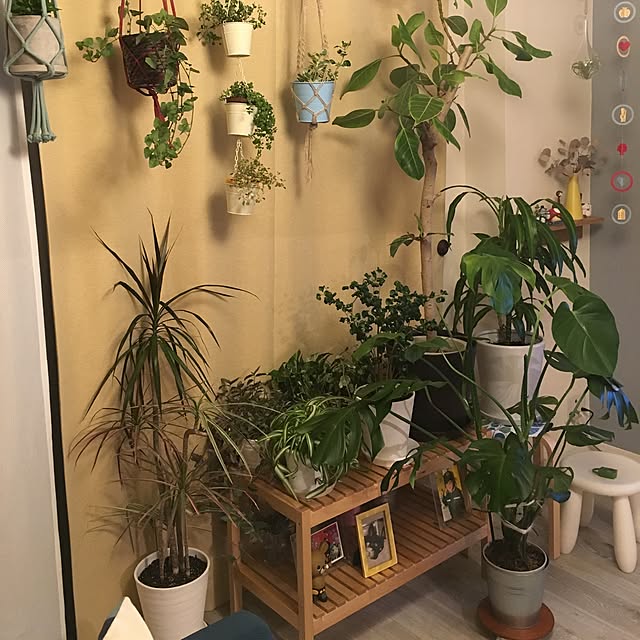 naoさんの実例写真