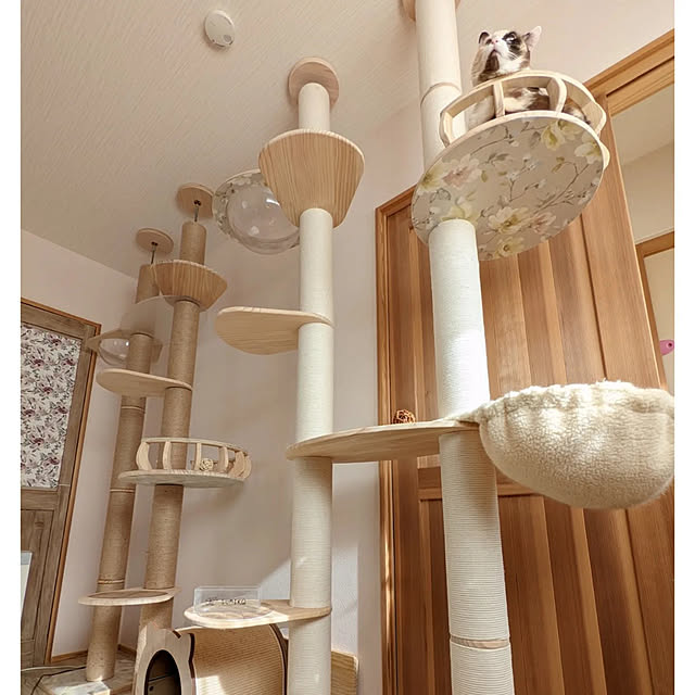 okuraさんの実例写真