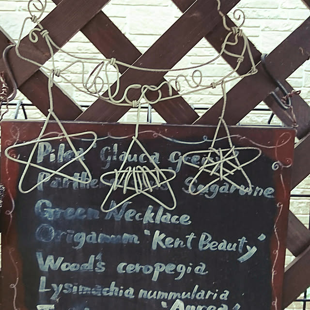 kikurinさんの実例写真