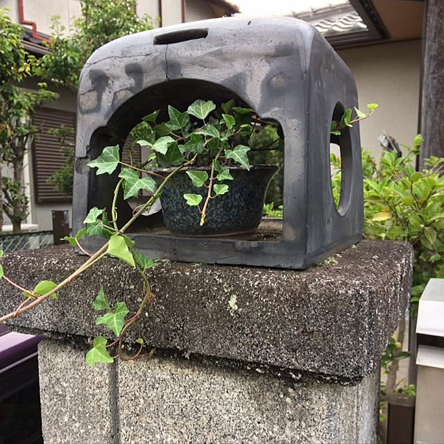 utamaruさんの実例写真
