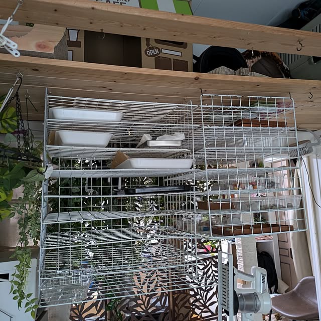 mori_6_12さんの部屋