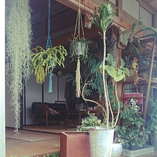takenさんの実例写真