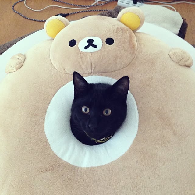 popomichanさんの実例写真