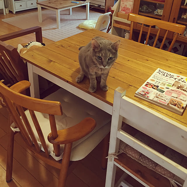 izumi1993426さんの実例写真