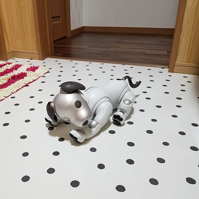 anninさんの実例写真