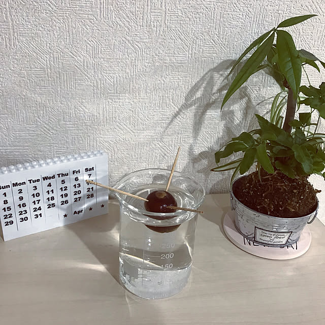 Ayuminnさんの実例写真