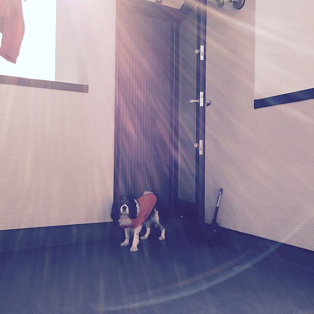 you.sansさんの実例写真