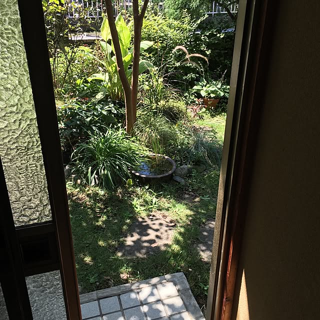 kotomouさんの実例写真