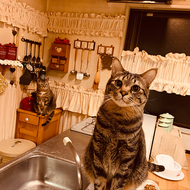 yuraさんの実例写真