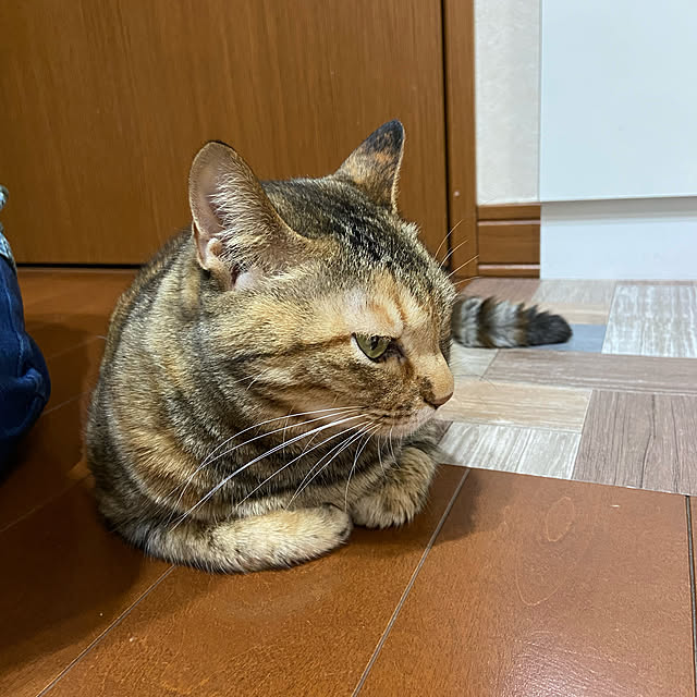 hansho.sさんの実例写真