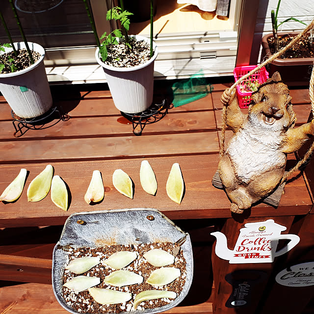 aiさんの実例写真