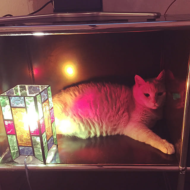 SyuRiderさんの実例写真