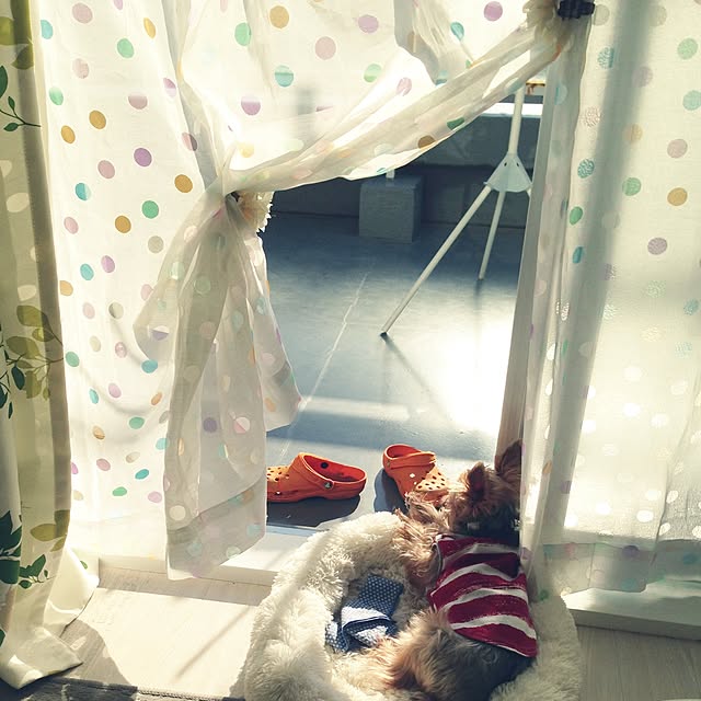 yuchinさんの実例写真