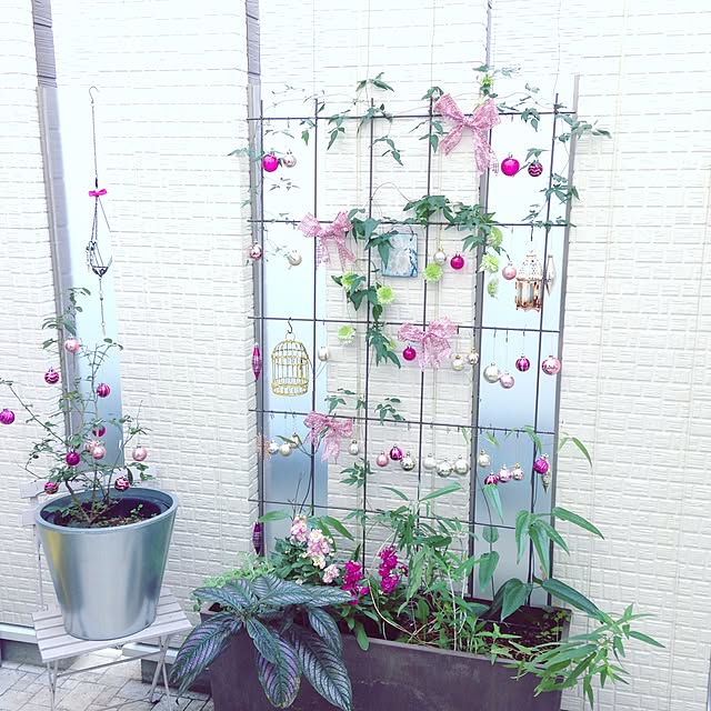 natsuさんの実例写真
