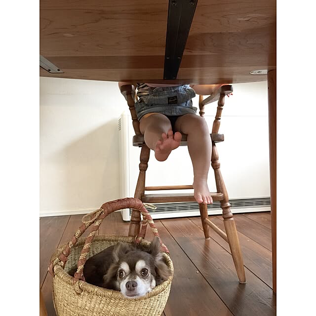 uniさんの実例写真