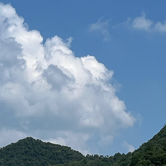 cota2さんの部屋