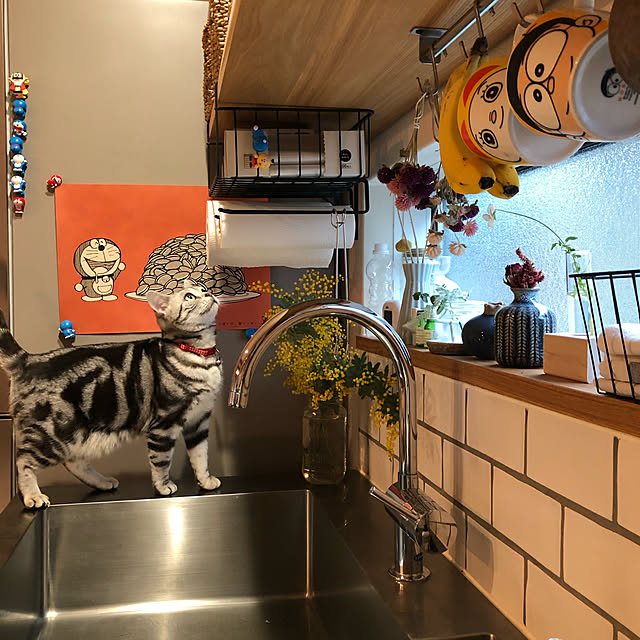 Aさんの実例写真