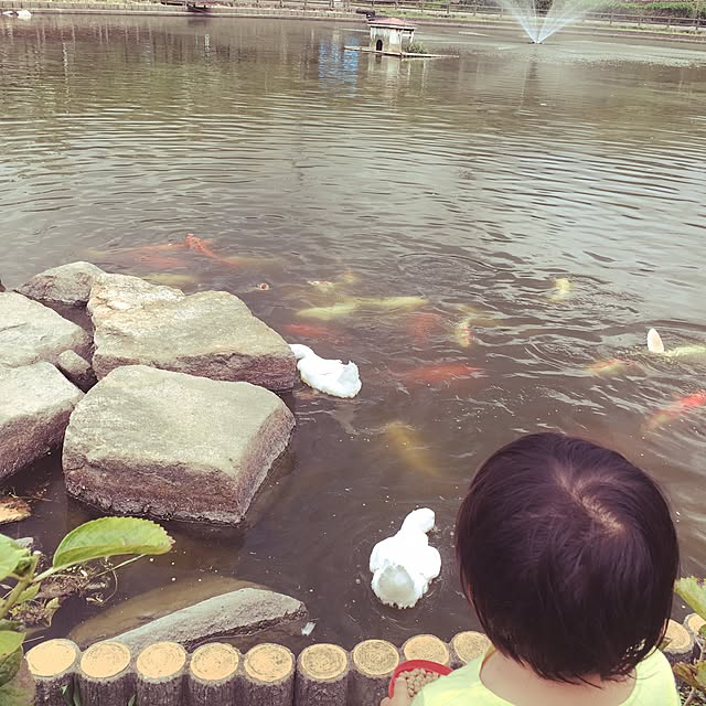 chakochakoさんの実例写真