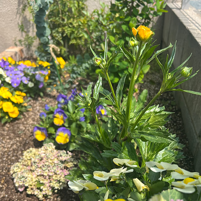 banbinaさんの実例写真