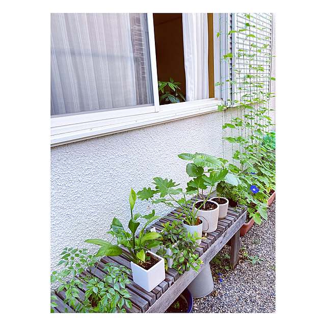 yukoさんの実例写真