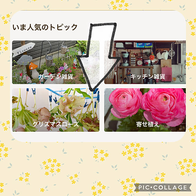 akiko-ovさんの実例写真