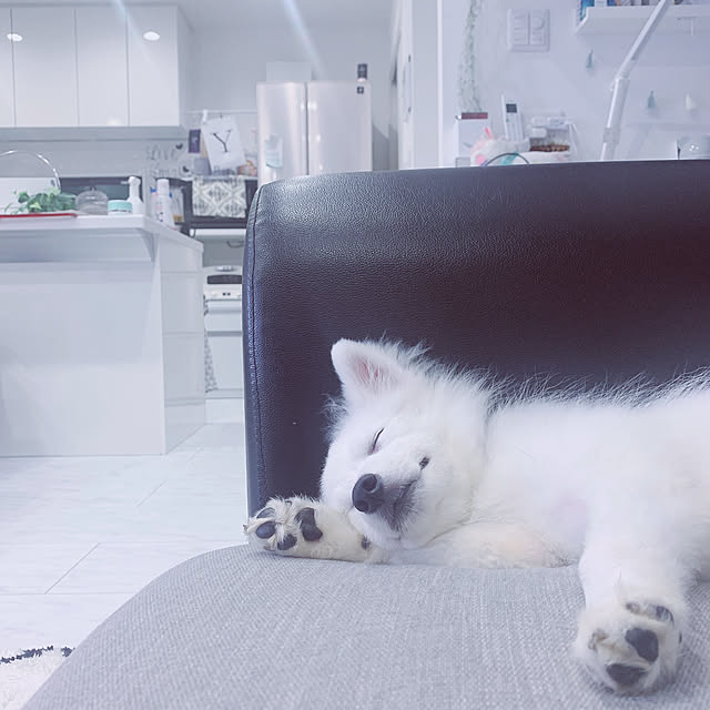 r0814さんの実例写真