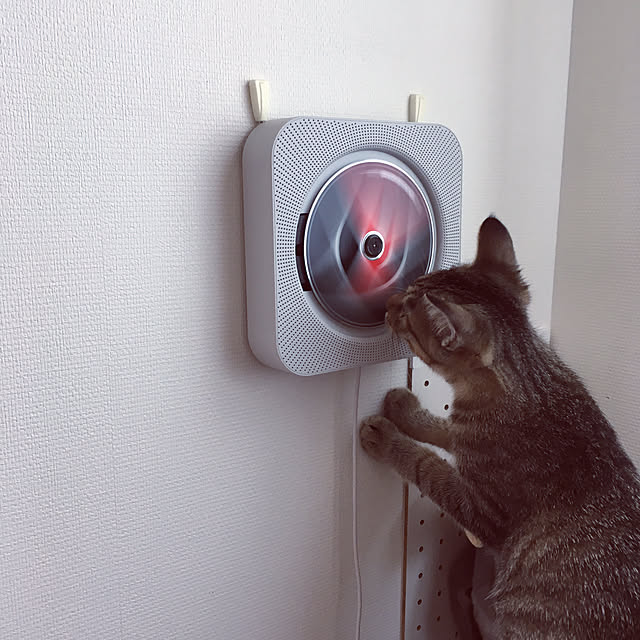 mikomaruさんの実例写真