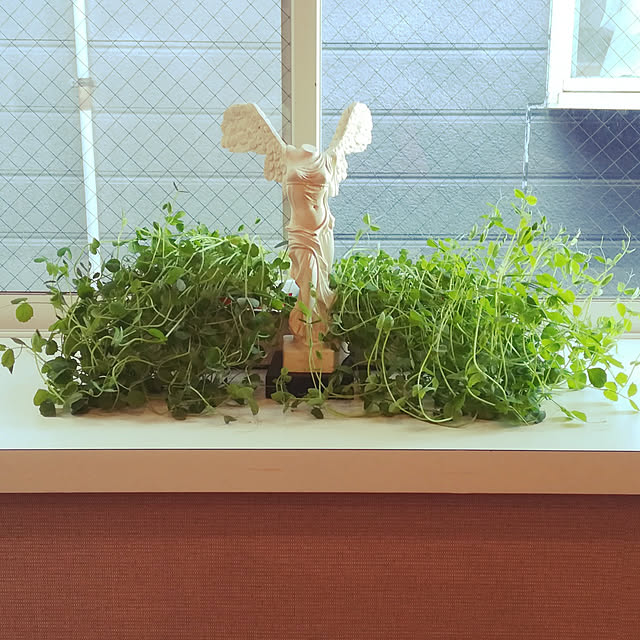 akiさんの実例写真
