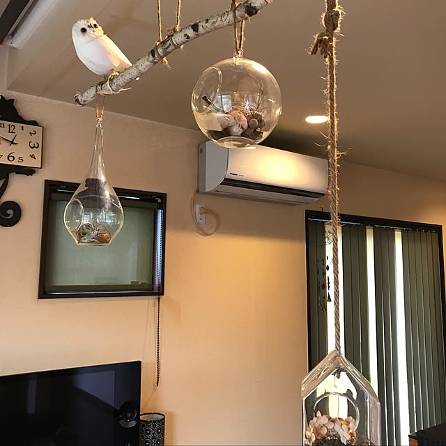 Yukieさんの実例写真
