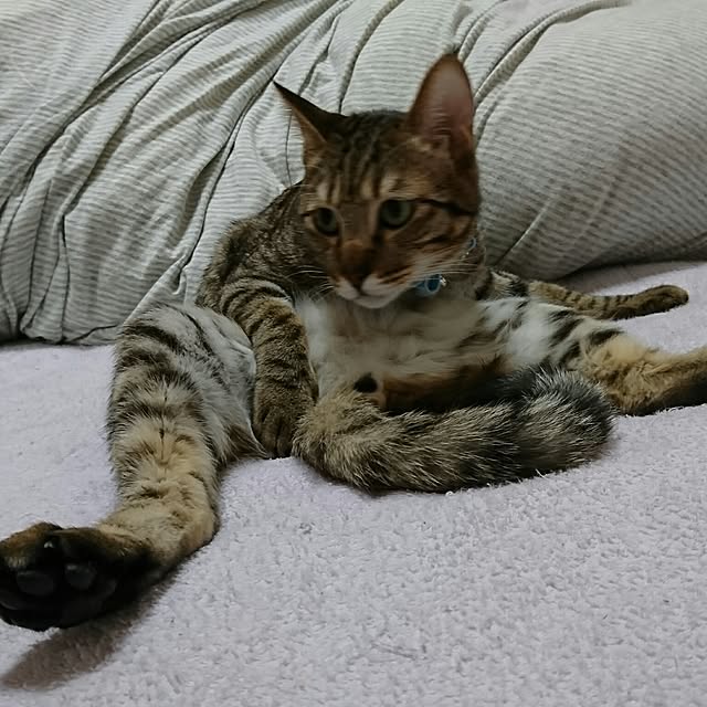 poniさんの実例写真