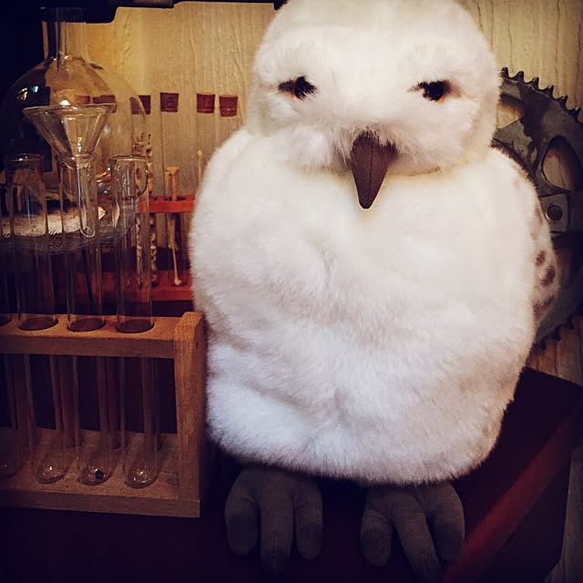 wokiyoさんの実例写真