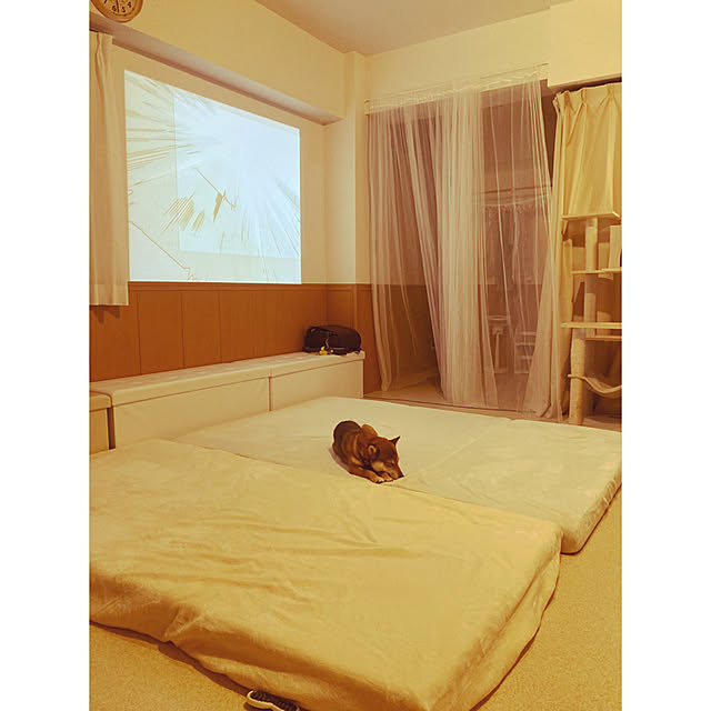 nocomomさんの実例写真
