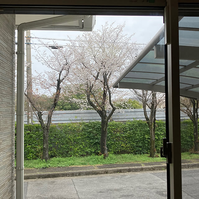 tokoさんの実例写真