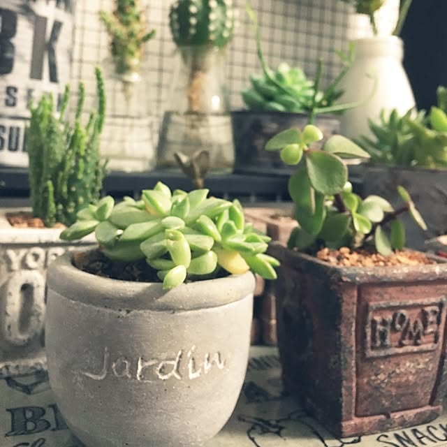 JUNさんの実例写真