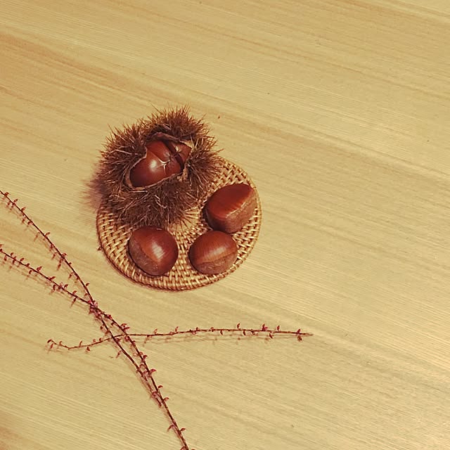 syocottoさんの実例写真
