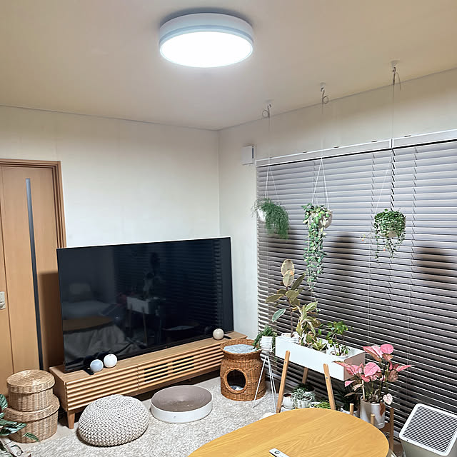 chinaさんの部屋